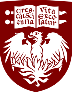 School 7